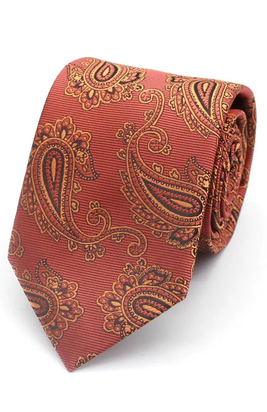 Bold Paisley Tie and Hankie Set