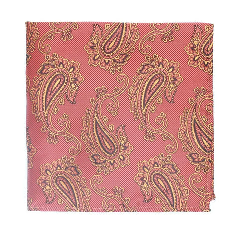 Bold Paisley Tie and Hankie Set
